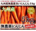 【送料無料】洗いフルーツにんじん5kg　ちょっと訳あり 九州産　無農薬