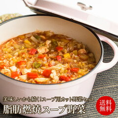 https://thumbnail.image.rakuten.co.jp/@0_mall/vegeppo/cabinet/04926373/05643041/new-soup.jpg