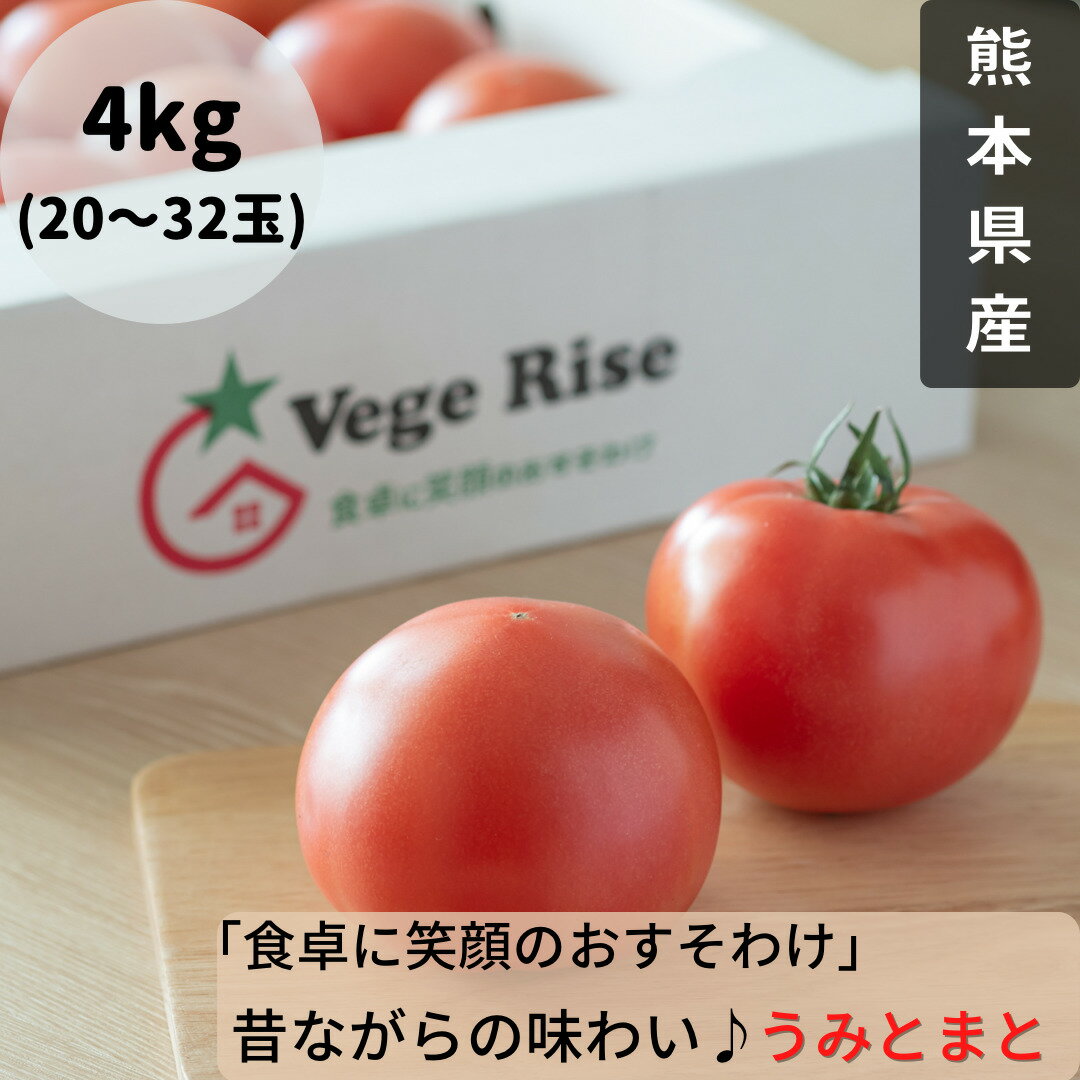 【送料無料】【うみとまと4キロ 20〜32玉】 昔ながらの味わい 熊本県産 玉名 トマト ジューシー 野菜 リコピン ビタミンC 美味しい おいしい 栄養価 食卓 美容 健康 内祝い ギフト 贈り物 産直野菜 農園直送 VegeRise