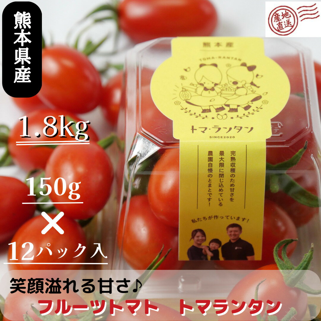 楽天ランキング1位獲得【トマランタン150g×12パック 計1.8kg】送料無料 笑顔溢れる甘さ 超濃厚 熊本県産 玉名 ミニトマト 甘い 高糖度 リコピン ビタミンC 美味しい おいしい 栄養価 食卓 美容 健康 メガ盛り 大容量 内祝い ギフト 贈り物 産直野菜 農園直送 VegeRise