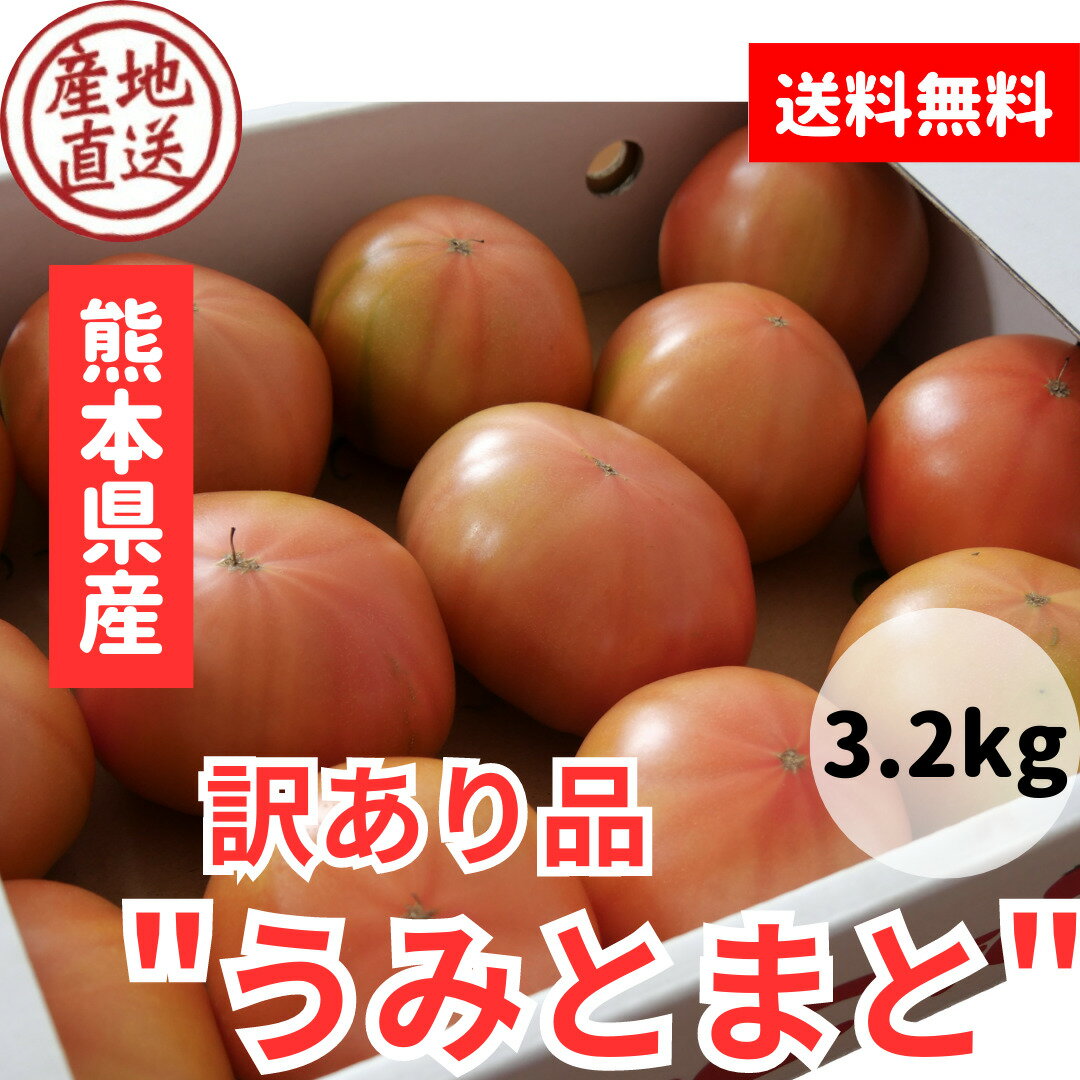 【訳ありうみとまと約3.2キロ】 送料無料 昔ながらの味わい 訳あり 熊本県産 玉名 トマト ジューシー 野菜 リコピン …