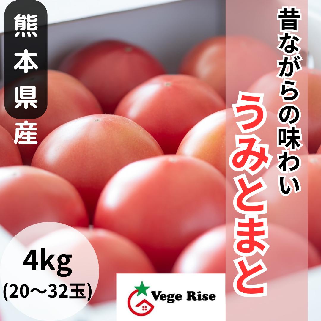 【送料無料】【うみとまと4キロ 20〜32玉】 昔ながらの味わい 熊本県産 玉名 トマト ジューシー 野菜 リコピン ビタ…