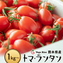 楽天ランキング1位獲得【トマランタン】送料無料 笑顔溢れる甘さ 超濃厚 熊本県産 玉名 ミニトマト 甘い 野菜 高糖度 リコピン ビタミンC 美味しい 栄養価 食卓 美容 健康 内祝 お歳暮 ギフト 贈り物 産直野菜 農園直送 VegeRise