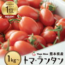 \ 母の日ギフト / 高評価 楽天ランキング1位獲得【トマランタン】減農薬 送料無料 笑顔溢れる甘さ 超濃厚 熊本県産 玉名 ミニトマト 甘い 野菜 高糖度 リコピン ビタミンC 美味しい 栄養価 食…