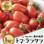 〈高評価〉 楽天ランキング1位獲得【トマランタン】減農薬 送料無料 笑顔溢れる甘さ 超濃厚 熊本県産 玉名 ミニトマト 甘い 野菜 高糖度 リコピン ビタミンC 美味しい 栄養価 食卓 美容 健康 内祝 お歳暮 ギフト 贈り物 産直野菜 農園直送 VegeRise