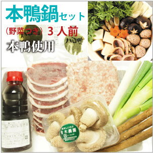 野菜付き本鴨鍋セット 八甲田本鴨肉 野菜3品 無添加スープ付 3人前