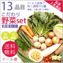 13品目こだわり野菜セット 野菜 詰合せ