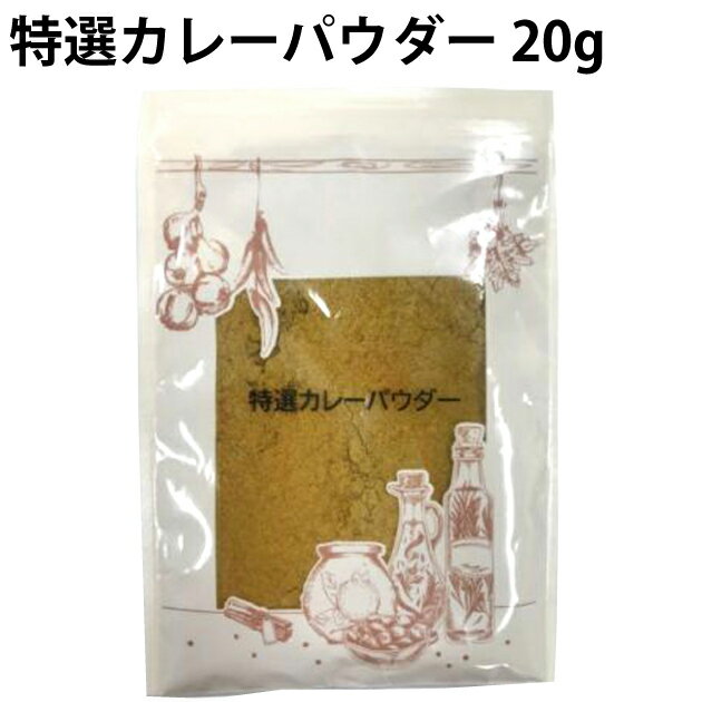 井上スパイス 特選カレーパウダー 20g 10袋