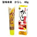 ムソー 旨味本来 からし チューブ入 40g 10本 父の日