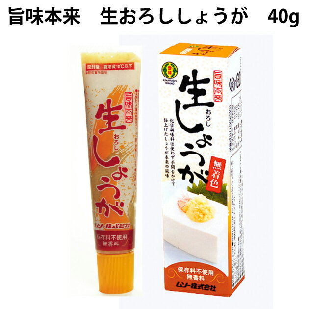 ムソー 旨味本来 生おろししょうが チューブ入 40g 10本