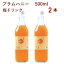 王隠堂農園 プラムハニー 500ml× 2本　ギフト 贈答 母の日 父の日 お返し お祝い お誕生日