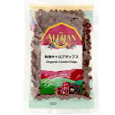 アリサン 有機キャロブチップス 100g 12パック 母の日