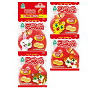 サンコー アップルグミ 20g×4袋 15パック 父の日