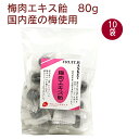 フルーツバスケット 梅肉エキス飴 80g×10袋 梅飴 あめ アメ 国産梅使用 母の日