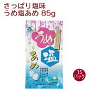 サンコー うめ塩あめ 85g 15パック