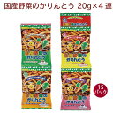 楽天ベジタブルハートサンコー 国産野菜のかりんとう　20g×4袋 15個　連菓子　食べ切サイズ　小袋　吊り下げ菓子　おやつ