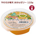 春夏限定 サンコー やわらか寒天・みかんゼリー 110g×12個