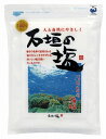 オーシャンカンパニー石垣の塩 500g 4パック 父の日