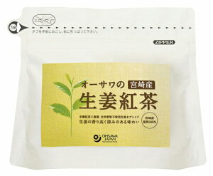 オーサワ オーサワの生姜紅茶（ティーバッグ） 60g(3g×20包) 3パック