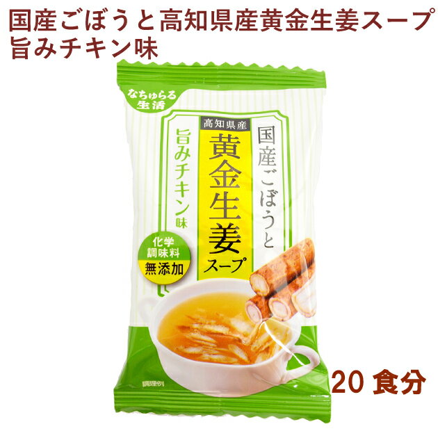 イー有機生活 お湯を注ぐだけ 国産ごぼうと高知県産黄金生姜スープ 旨みチキン味 20食分