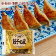 【人気商品】アルファー 餃子の皮　20枚入 10パック