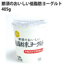 タカハシ乳業 低脂肪ヨーグルト 405g 6パック