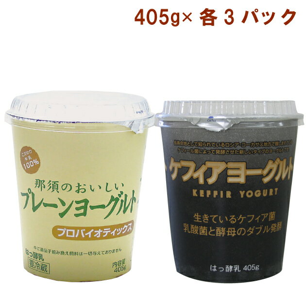 遺伝子組み換え飼料を与えず育てた牛の生乳から作った無糖ヨーグルトのセット。ほどよい酸味と後味がとても良い「プレーンヨーグルト」と、ロシア・コーカサス地方のケフィア菌を使用し、乳酸菌と酵母のダブル発酵で菌の量が多い「ケフィアヨーグルト」です。味の違いをお楽しみください。原材料：【共通】牛乳　内容量：【共通】405g　 数量：各3パック（合計6パック）　製造元：タカハシ乳業