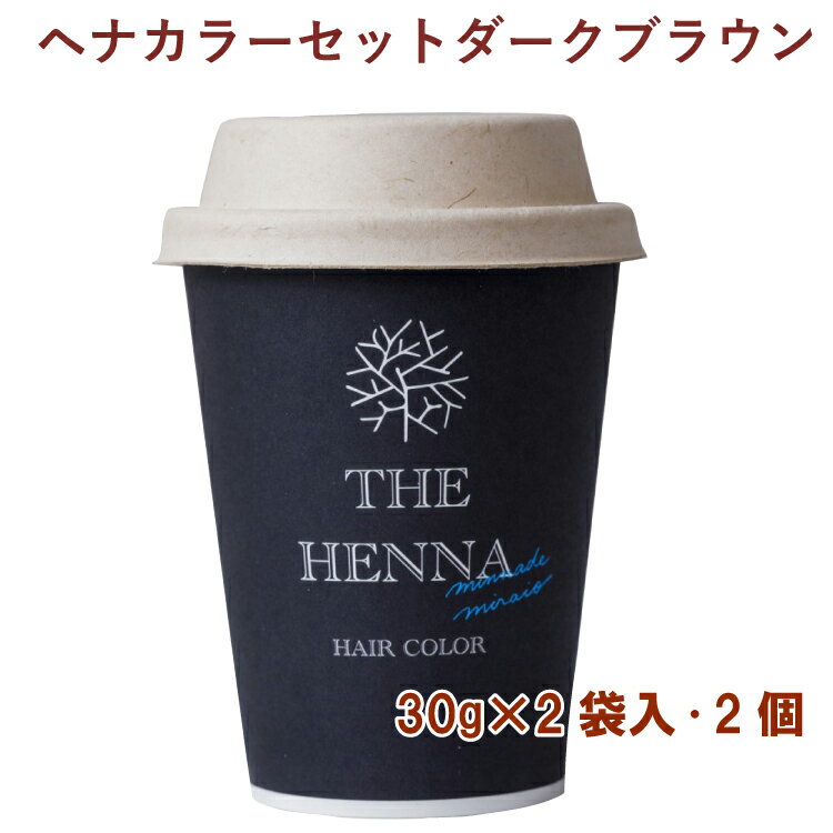 みんなでみらいを ヘナカラーセットダークブラウン 30g×2袋 2個　父の日