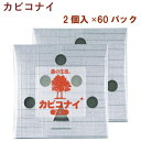 生活アートクラブ カビコナイ 2個入 60パック