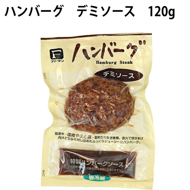 フリーデン 惣菜 フリーデン ハンバーグ デミソース 120g 5パック　冷蔵惣菜　温めるだけ