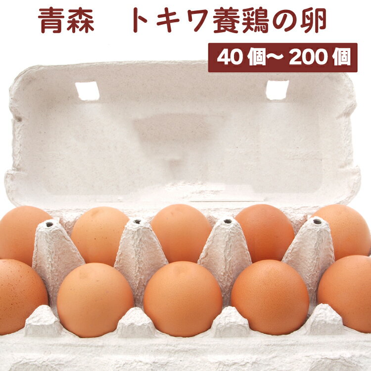 青森 トキワ養鶏の卵 飼料に遺伝子組み換え作物等は不使用 安心安全な卵 【40個・60個・100個・200個】 母の日