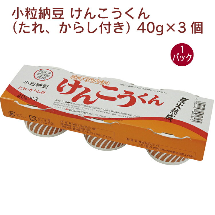 カジノヤ 小粒納豆 けんこうくん（たれ、からし付き） 40g×3 1パック