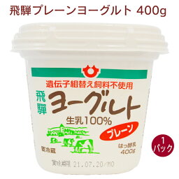 飛騨酪農 飛騨プレーンヨーグルト 400g 1パック