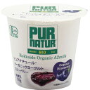 カネカ オーガニックヨーグルト・ブルーベリー(個食) 100g 12個 母の日