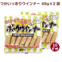 鎌倉ハム つかいっきりウインナー 49g×2袋 10パック