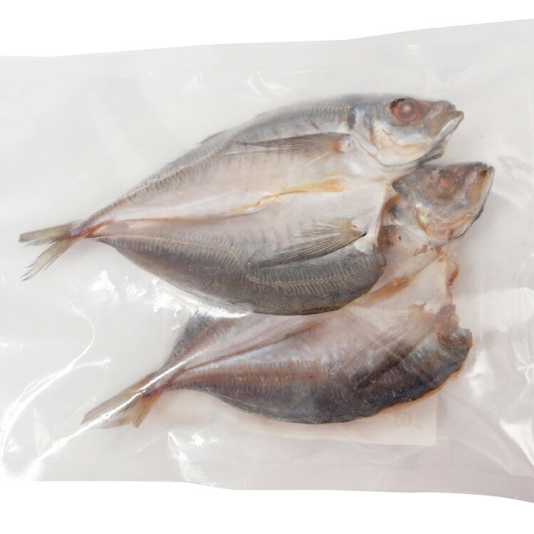 干物 鯵 天然アジの開き 2枚×4パック 島根沖産真あじ　干し魚　干物 2