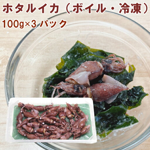 能西水産 ホタルイカ ボイル 100g 3パック 父の日 能西水産 ホタルイカ ボイル 100g 3パック 父の日