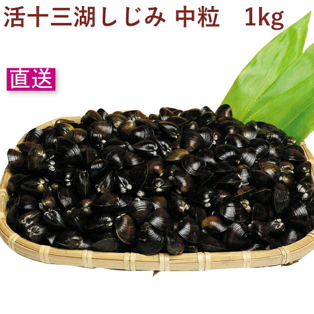 トーサム 活十三湖しじみ 中粒 1kg 産地直送 母の日