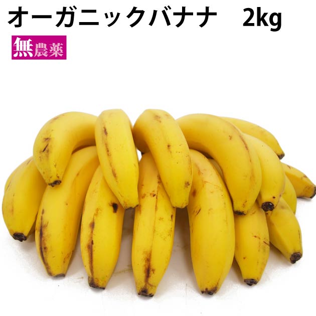 オーガニック バナナ 2kg フルーツ 