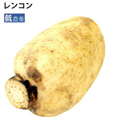 https://thumbnail.image.rakuten.co.jp/@0_mall/vegetable-heart/cabinet/banner/bannershouhin/yasai/120_t.jpg