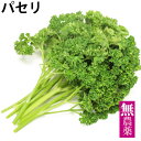 パセリ 無農薬栽培 　30g前後×10袋