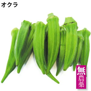 オクラ 無農薬栽培 100g