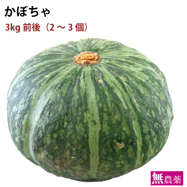 かぼちゃ 無農薬栽培 3kg前後（2〜3個）