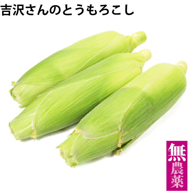 とうもろこし 埼玉県産 無農薬栽培 10本　※6月下旬〜7月上旬発送予定