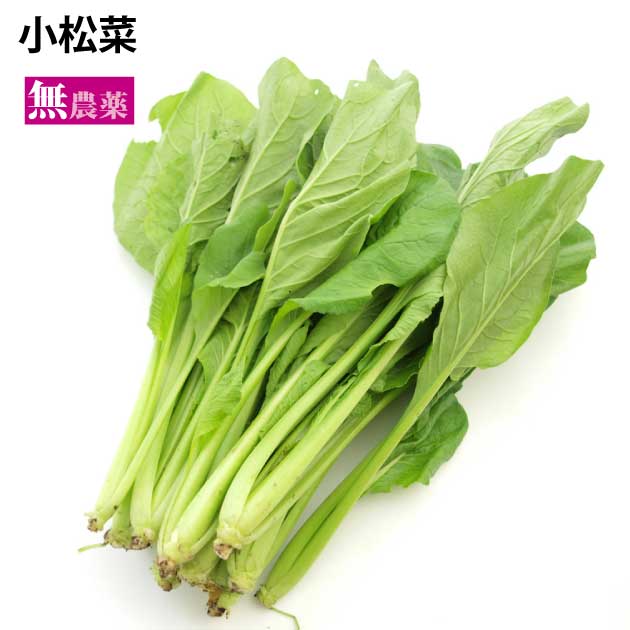 小松菜 無農薬栽培　200g前後 1把