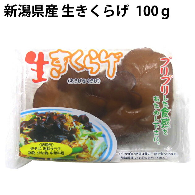 生きくらげ 新潟県産 100g 10パック