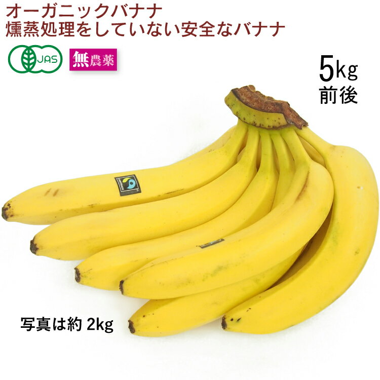 黄金バナナ（アップルバナナ）約3kg(CF001-1) - 沖縄県豊見城市