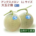 【予約】産地直送 山形産 アンデスメロン LLサイズ 大玉2個 ツノ付き 糖度15度以上 化粧箱入 低農薬栽培 旬 お中元 贈り物 ギフトプレゼント お取り寄せ ※7月中旬頃から発送予定 父の日