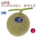 山形産 アンデスメロン Mサイズ 1玉 低農薬栽培 贈り物 プレゼント お取り寄せ お中元 自宅用