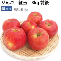 https://thumbnail.image.rakuten.co.jp/@0_mall/vegetable-heart/cabinet/banner/bannershouhin/yasai2/10302-3.jpg